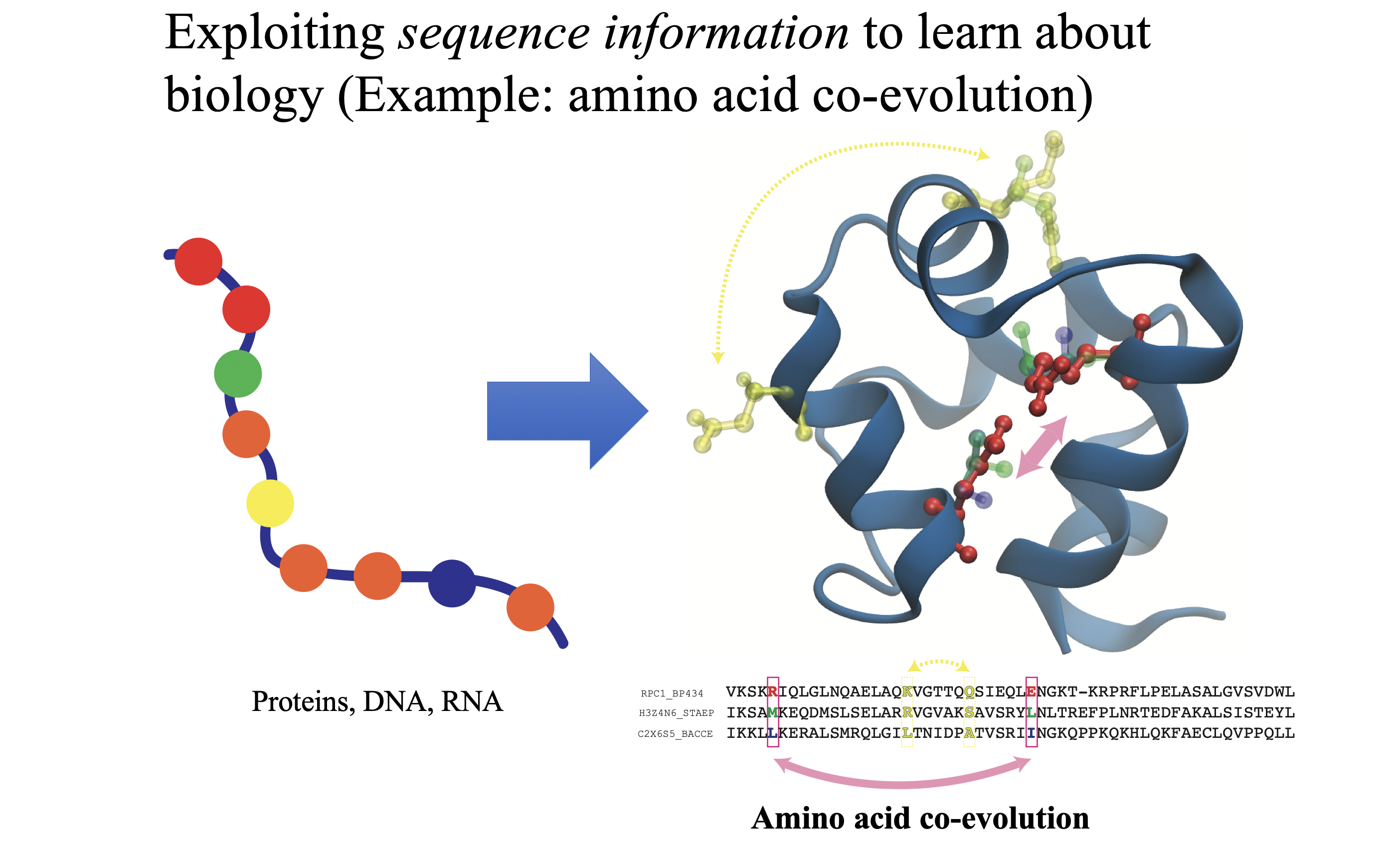 Protein sequence analysis Cheng Research Group UKY